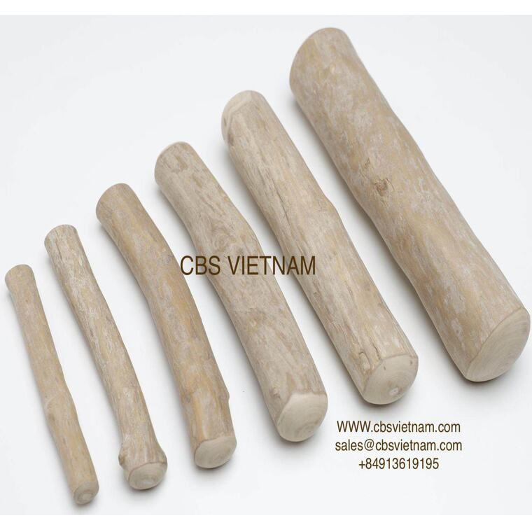 CBS Vietnam-COFFEE WOOD CHEWS