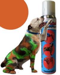 PetPaint